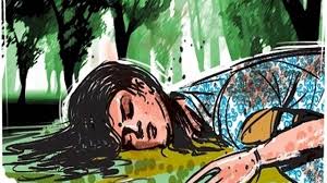 ‘honourkilling’attempt:ghaziabadmanstabsniecewhoeloped